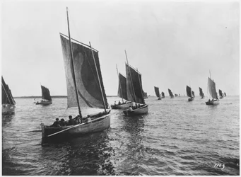 Barche da sardine di Concarneau